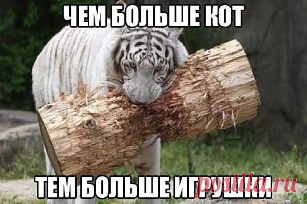 ОптимизМмм! :D