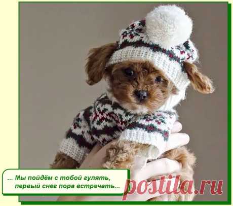 ХОРОШЕГО ВАМ НАСТРОЕНИЯ
