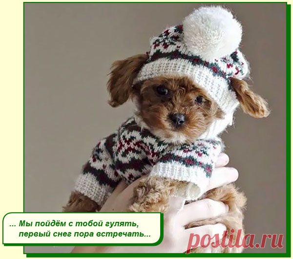 ХОРОШЕГО ВАМ НАСТРОЕНИЯ