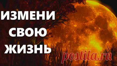 Почему так важно любить себя и как полюбить себя и почему любовь к себе является просто важной составляющей нашей жизни?  
Предлагаем Вам видео о том, как принять и полюбить себя, как заставить себя любить и советы для Вас как начать жить. Что такое любовь к себе и с чего начать.
Аффирмации Луизы Хей.
Если Вы хотите жить благополучной жизнью, быть здоровым человеком, не болеть, то сначала полюби себя, перестань критиковать и запугивать себя