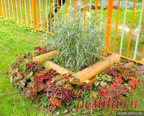 Украшаем сад из всего, что найдётся - Садоводка