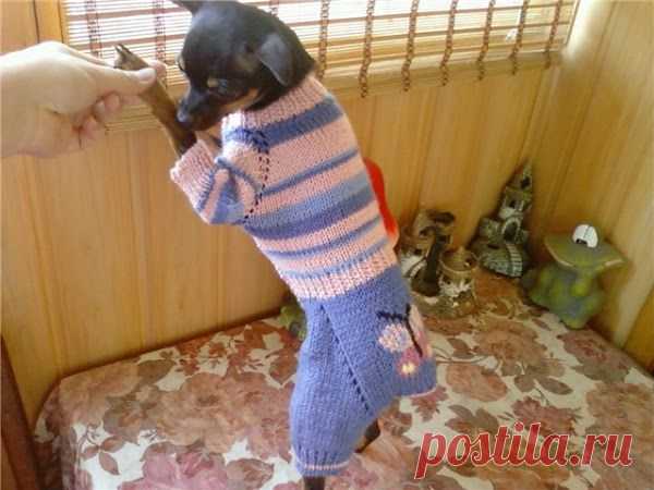 Картинка