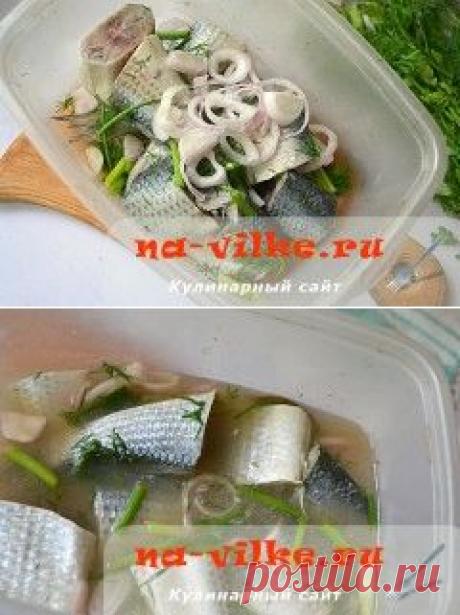 Малосольная кефаль в маринаде – аппетитная закуска