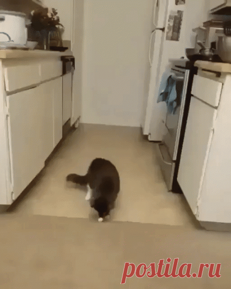 Барсик, это просто арахис ...