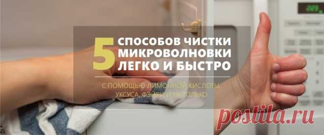Как очистить микроволновку внутри - 5 экспресс-способов