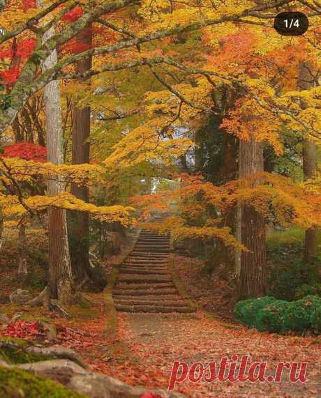Пин на доске Fall🍂