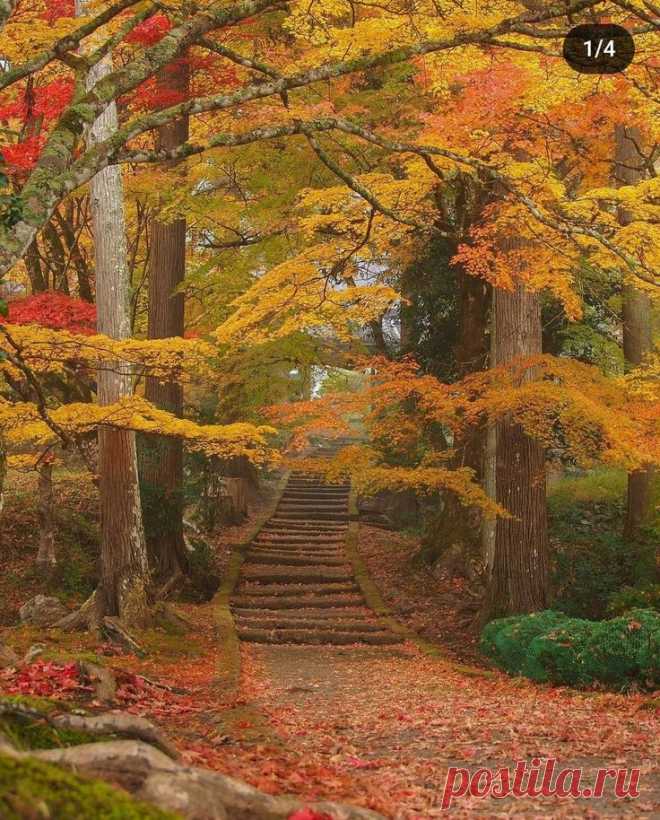 Пин на доске Fall🍂