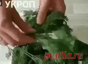 (54) Одноклассники