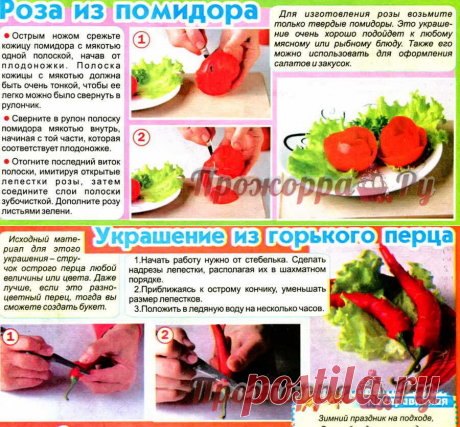 Карвинг 2 | Прожоpра.РуПрожоpра.Ру