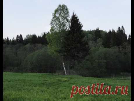 E Trac- Настройки.