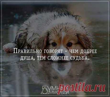 Интересные новости