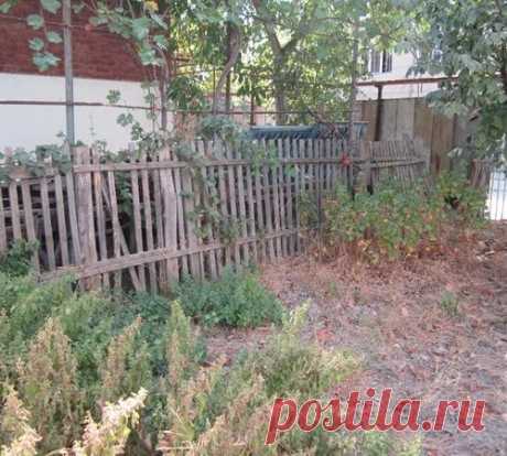 Меняем забор между участками