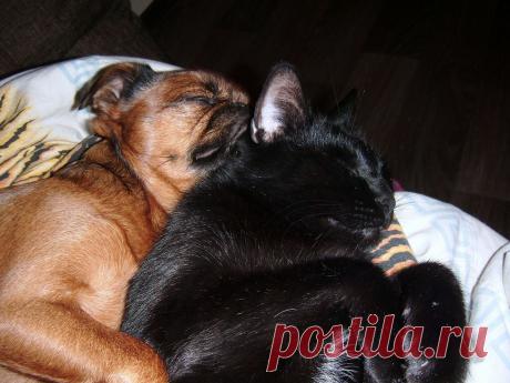 Мой Мир@Mail.Ru