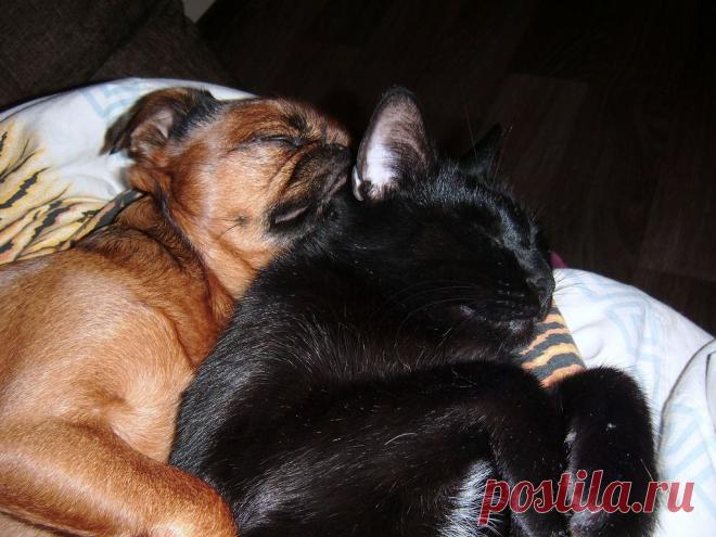 Мой Мир@Mail.Ru