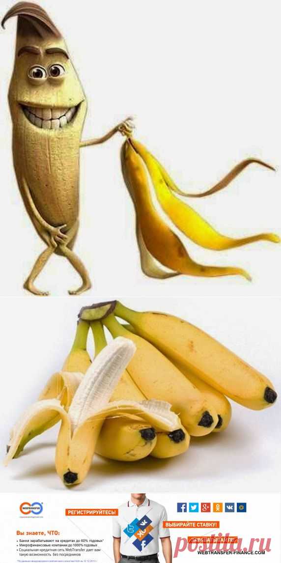 КРАСОТА - СТРАШНАЯ СИЛА!