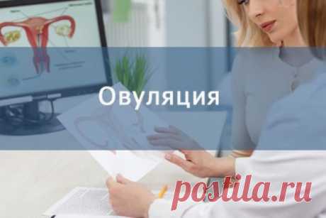 Калькулятор овуляции: естественный способ повышения фертильности! - Домашняя аптечка