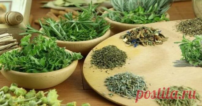 Эффективные жаропонижающие лекарственные растения


Традиционное использование растений с жаропонижающими свойствами является распространенной во всем мире особенностью многих культурных систем.
Все синтетические соединения, используемые в качестве жаропонижающих средств, являются токсичными для клеток печени, а также сердечной мышцы.Народная Медицина — рецепты, советы, способы, cекреты и народные средства.