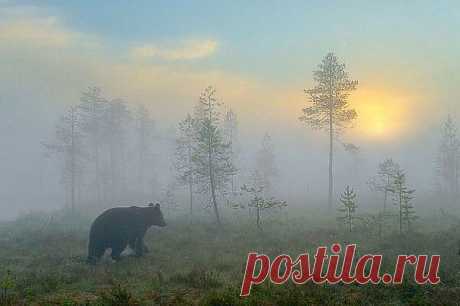 (52) Одноклассники