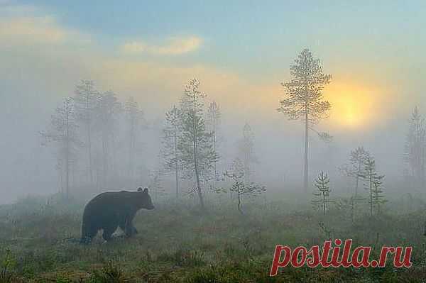 (52) Одноклассники