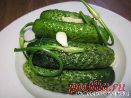 Быстрые малосольные огурцы - пошаговый рецепт с фото | И вкусно и просто