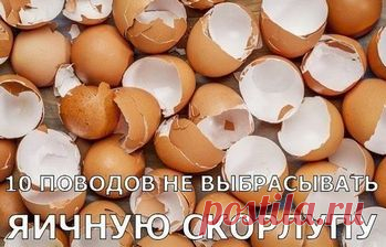 Не выбрасывайте
яичную скарлупу