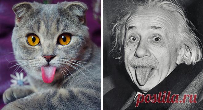 Кажется, реинкарнация существует.﻿