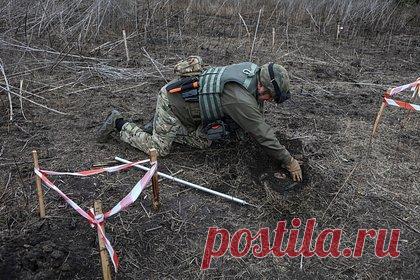 Словакия поможет Украине с разминированием территории. Глава МИД Словакии Юрай Бланар одобрил выделение средств на покупку двух систем для разминирования территории Украины. В сообщении уточняется модель техники для разминирования. Помимо этого, приводится точная сумма, которую глава ведомства решил направить на покупку систем.