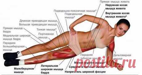 ПОДТЯЖКА ЖИВОТА И ИСЧЕЗНОВЕНИЕ БОКОВ !!!  **Планка - по 30сек на каждую сторону, 3 подхода.