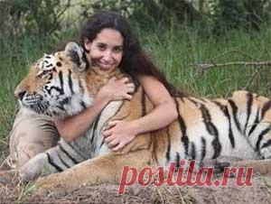 Гороскоп для Тигра на 2017 год