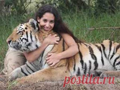 Гороскоп для Тигра на 2017 год