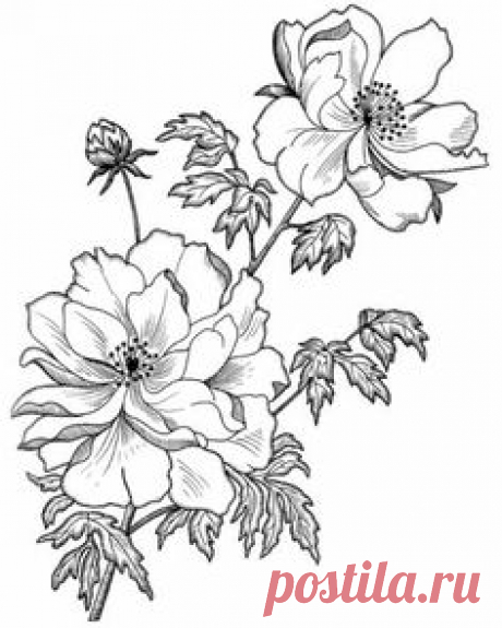 КАРТИНКИ И ШАБЛОНЫ ДЛЯ ПРИНТА ВЫШИВКИ ЛЕНТАМИ