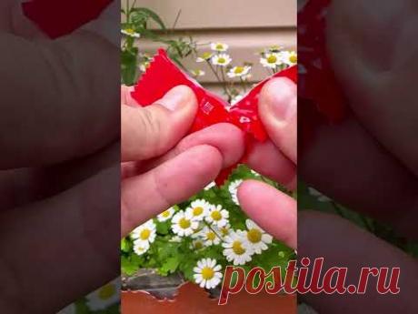 АСМР сюрприз ❤️ ASMR Surprise #diy #shotrs