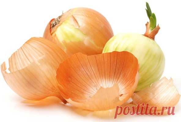 Луковая шелуха. Польза и вред для организма, лечение от 100 болезней, для печени, от простатита, давления, судорог, диабета, при цистите, задержке месячных, рецепты применения для волос