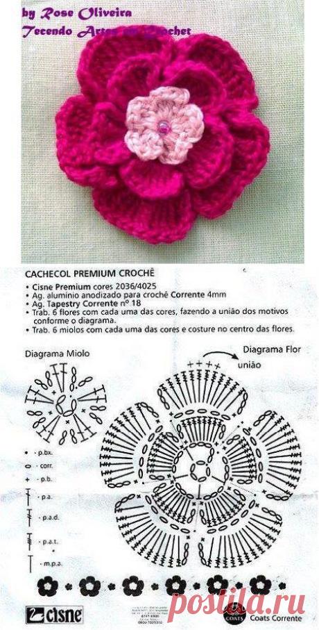 (58) Pinterest