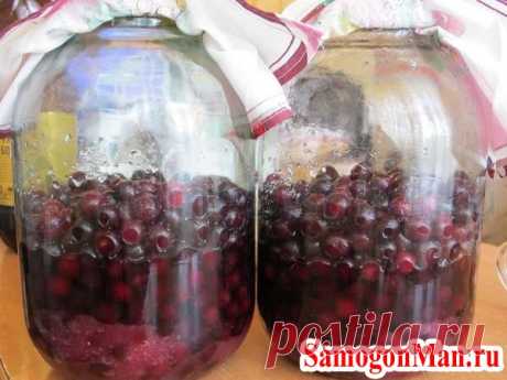 Как приготовить наливку из вишни в домашних условиях - простой рецепт Готовим наливку из вишни, это просто. Главное - запастись вишней или черешней в достаточных количествах, далее же просто следуйте нашему описанию