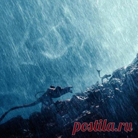 Подводная экспедиция раскрыла тайны загадочной Голубой дыры Белиза