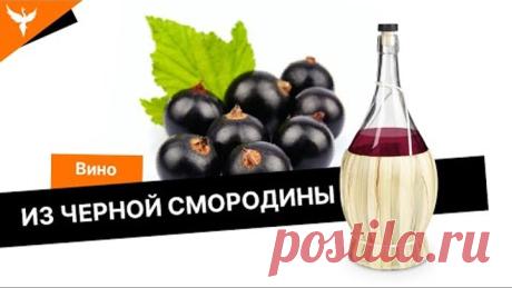 Вино из черной смородины