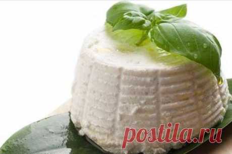 рецепты сыра