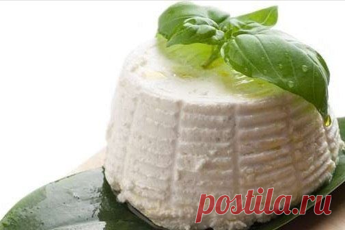 рецепты сыра