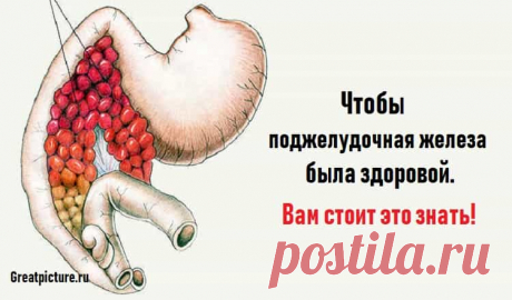 Чтобы поджелудочная железа была здоровой.Вам стоит это знать! Чтобы поджелудочная железа была здоровой.Вам стоит это знать!Чтобы поджелудочная железа была здоровой и правильно функционировала