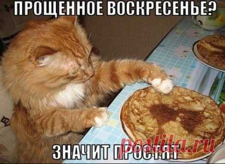 3 непрочитанных чата