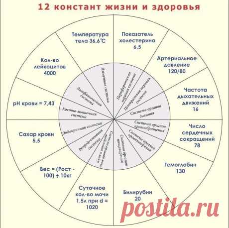 (12) Одноклассники