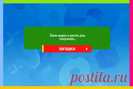 Ёжик вырос в десять раз - Загадка