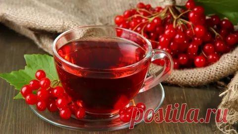Волшебная сила калины-осенний подарок для здоровья. Правильный чай из калины.