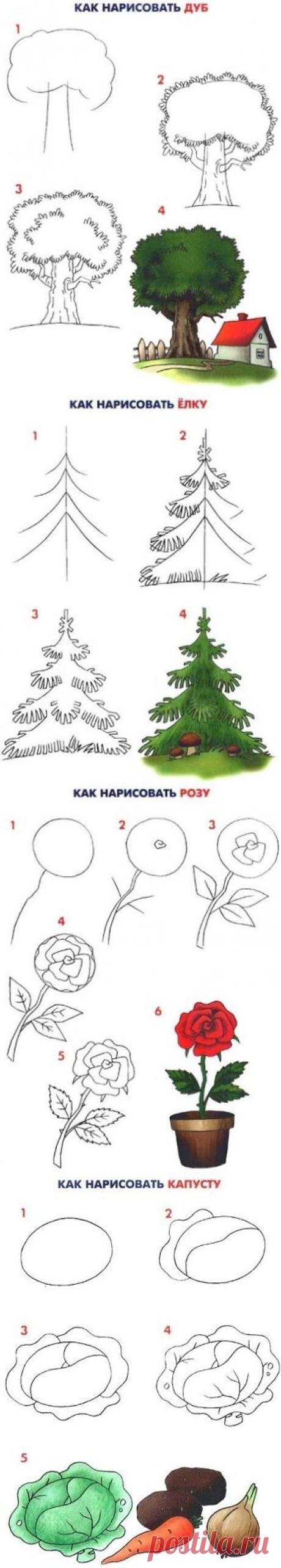 (3) Одноклассники