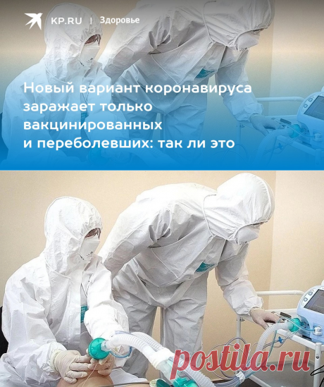 Новый вариант коронавируса САПЕРОЛОГ заражает только вакцинированных и переболевших: так ли это - KP.RU