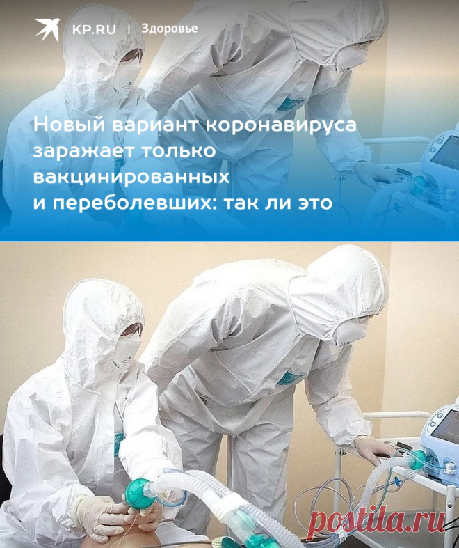 Новый вариант коронавируса САПЕРОЛОГ заражает только вакцинированных и переболевших: так ли это - KP.RU