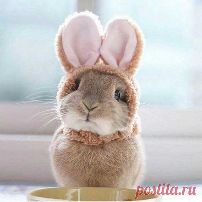 Доброе утро дорогие мои! Сегодня понедельник.... Ну что я Вам пожелаю   Будьте счастливы и улыбайтесь чаще, внутри и снаружи☺️