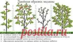 (45) Одноклассники