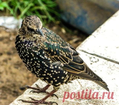 ФОТОМАСТЕРСКАЯ ПРИРОДЫ
Татьяна Борисова (Долинина)
